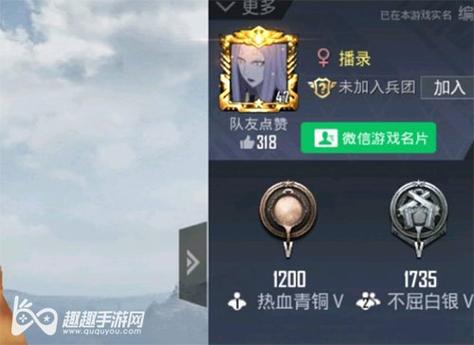 和平精英辅助【神女】